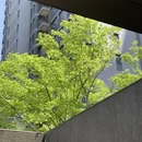 孝感旅游 缩略图 9