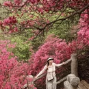 鄂州旅游 缩略图 10