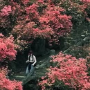 鄂州旅游 缩略图 11
