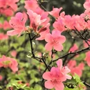 鄂州旅游 缩略图 12