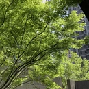 孝感旅游 缩略图 15