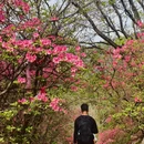 鄂州旅游 缩略图 14