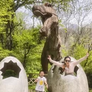 武汉旅游 缩略图 4