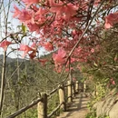 武汉旅游 缩略图 17