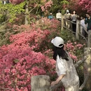 武汉旅游 缩略图 18