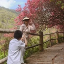 武汉旅游 缩略图 7
