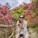 武汉旅游 缩略图 8