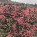 鄂州旅游 缩略图 1