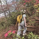 鄂州旅游 缩略图 2