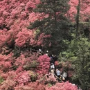 鄂州旅游 缩略图 4