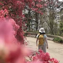 鄂州旅游 缩略图 16