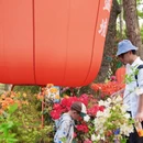 苏州旅游 缩略图 10