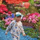 苏州旅游 缩略图 12