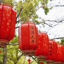 苏州旅游 缩略图 14