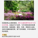 武汉旅游 缩略图 2
