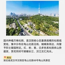 武汉旅游 缩略图 5