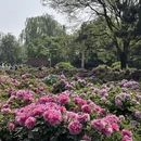 洛阳旅游 缩略图 2
