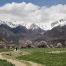 林芝旅游 缩略图 5