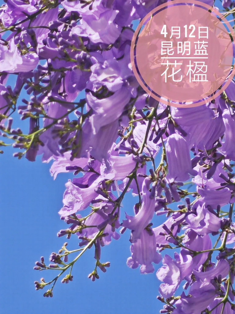 昆明旅游