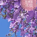 昆明旅游 缩略图 1