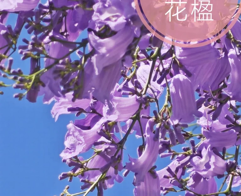 昆明旅游 1