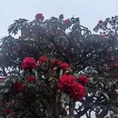 遵义旅游 缩略图 14