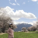 林芝旅游 缩略图 6