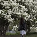 上海旅游 缩略图 4