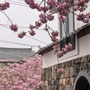 宁波旅游 缩略图 10