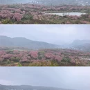 宁波旅游 缩略图 4