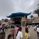 珠海旅游 缩略图 6