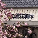 宁波旅游 缩略图 2