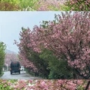 宁波旅游 缩略图 5