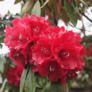 遵义旅游 缩略图 6