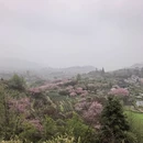 宁波旅游 缩略图 17