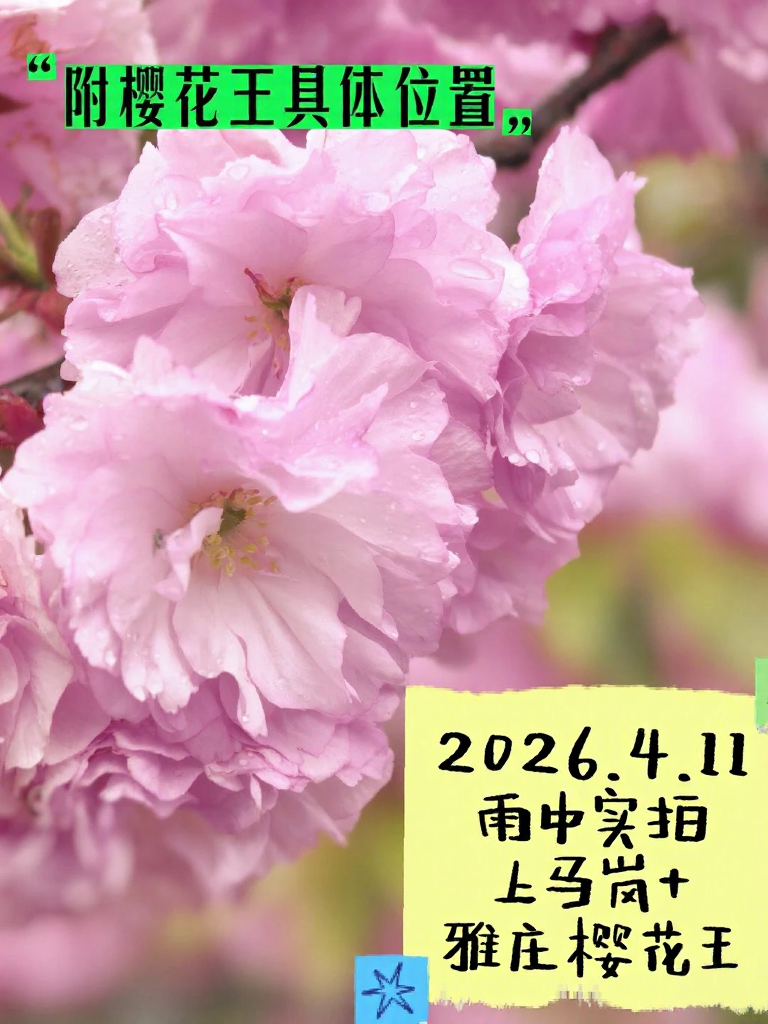 宁波旅游