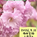 宁波旅游 缩略图 1