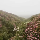 遵义旅游 缩略图 3