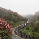 遵义旅游 缩略图 2