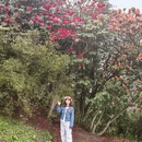 遵义旅游 缩略图 1