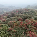 遵义旅游 缩略图 13