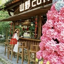 黄山旅游 缩略图 17