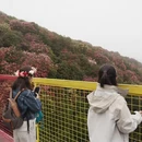 遵义旅游 缩略图 7