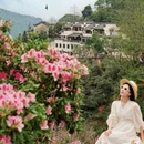 黄山旅游 缩略图 2