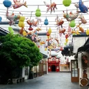 上饶旅游 缩略图 7