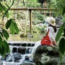 黄山旅游 缩略图 16