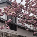 宁波旅游 缩略图 16