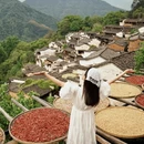 黄山旅游 缩略图 3
