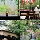 黄山旅游 缩略图 14