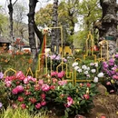 苏州旅游 缩略图 10